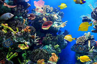 Zoo Aquarium - 2 personas
