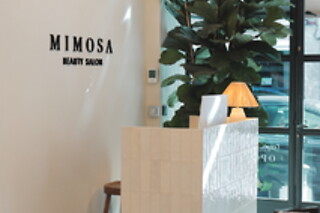 Una sesión de presoterapia y una manicura para 1 en Mimosa Beauty Salon Centro en Alicante
