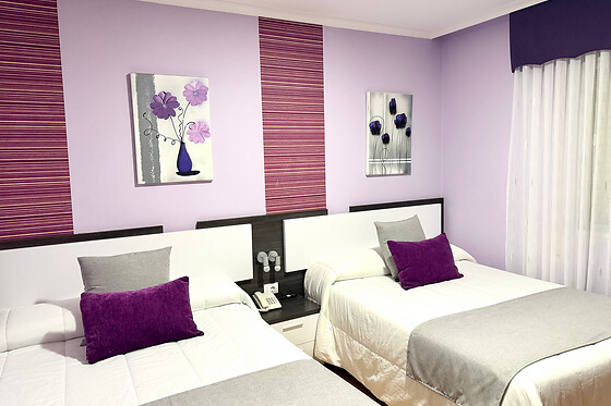 HOTEL GALATEA BURELA - photo 4