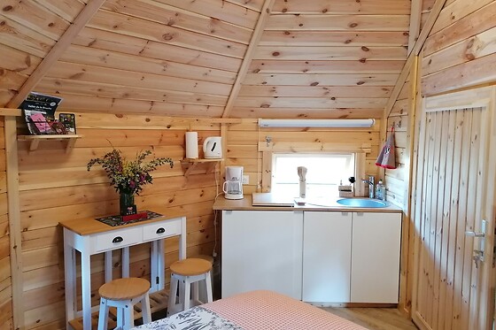 Au cœur du pin sylvestre - photo 4