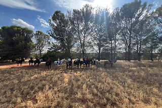 Un paseo a caballo para 2 en La Favorita CH en Campo Real (Madrid)