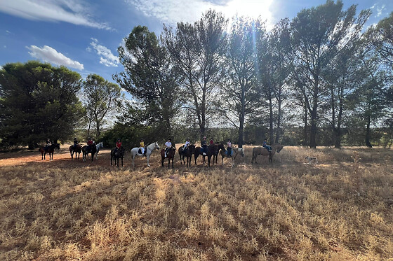 Un paseo a caballo para 2 en La Favorita CH en Campo Real (Madrid)