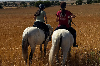 Un paseo a caballo para 2 en La Favorita CH en Campo Real (Madrid)
