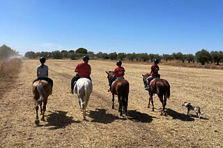 Un paseo a caballo para 2 en La Favorita CH en Campo Real (Madrid)