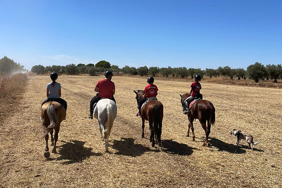 Un paseo a caballo para 2 en La Favorita CH en Campo Real (Madrid)