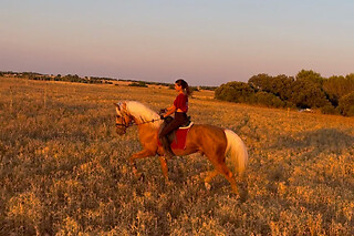 Un paseo a caballo para 2 en La Favorita CH en Campo Real (Madrid)