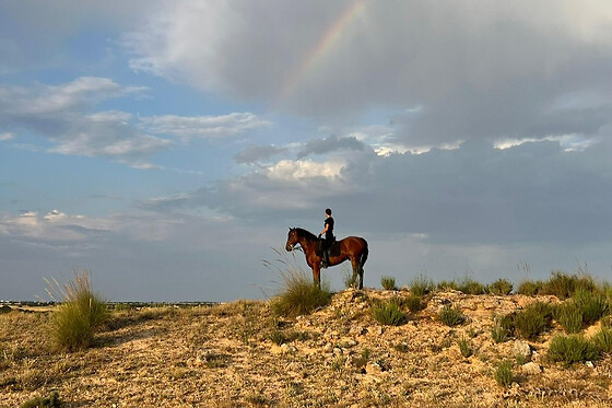 Un paseo a caballo para 2 en La Favorita CH en Campo Real (Madrid)