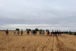 Un paseo a caballo para 2 en La Favorita CH en Campo Real (Madrid)