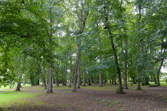 Domaine de Bel Air - photo 9