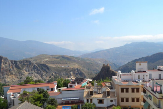 HOTEL ANDALUCIA DE LANJARON - photo 8