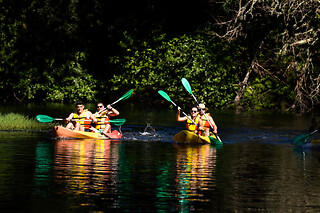 Una ruta en kayak "Descenso del río Umia" para 4 con Riatur Multiaventura en Cambados