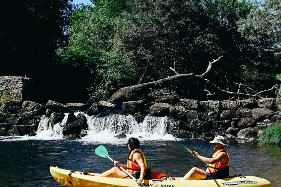 Una ruta en kayak 