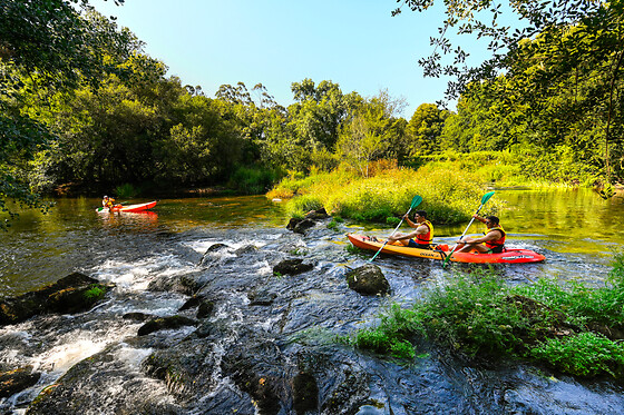 Una ruta en kayak 
