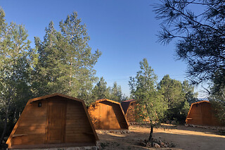 Dos noches en cabaña climatizada con actividad multiaventura y entradas a la Tomatina para 2 en La Tomatina de Buñol - Campamento La Serrana en Buñol (Valencia)