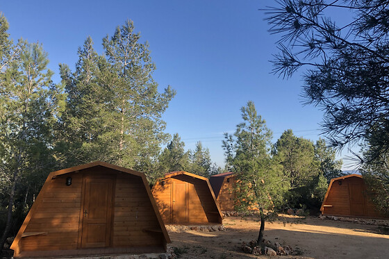 Dos noches en cabaña climatizada con actividad multiaventura y entradas a la Tomatina para 2 en La Tomatina de Buñol - Campamento La Serrana en Buñol (Valencia)