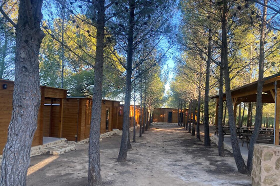 Dos noches en cabaña climatizada con actividad multiaventura y entradas a la Tomatina para 2 en La Tomatina de Buñol - Campamento La Serrana en Buñol (Valencia)