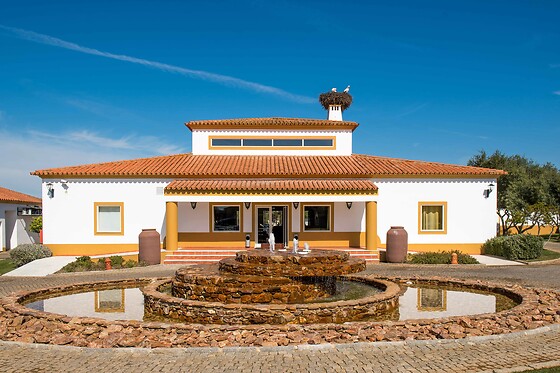 HOTEL VILA GALÉ ALENTEJO VINEYARDS - photo 15
