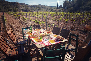 Una "Visita Wine Lovers" para 2 en Casa Mariol Wine Bar en Batea (Tarragona)