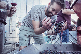 Una "Visita Wine Lovers" para 2 en Casa Mariol Wine Bar en Batea (Tarragona)