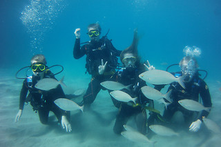 Una inmersión de buceo para 2 personas en Los Cristianos (Santa Cruz de Tenerife)