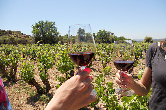 CELLER CARLES ANDREU - photo 0