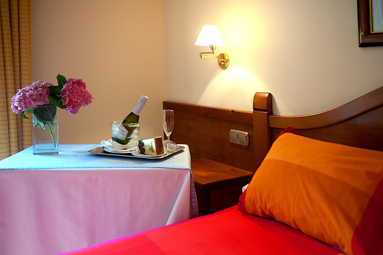 HOTEL MONTANÉ - photo 5