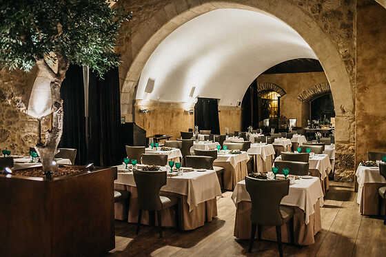 HOSPES PALACIO DE SAN ESTEBAN - photo 9