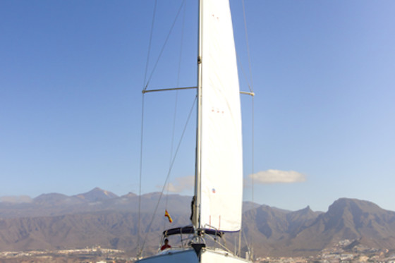 Excursión en velero exclusivo para avistamiento de cetáceos en Costa Adeje (Santa Cruz de Tenerife)