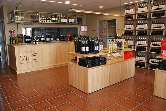 VILE LA FINCA - photo 3