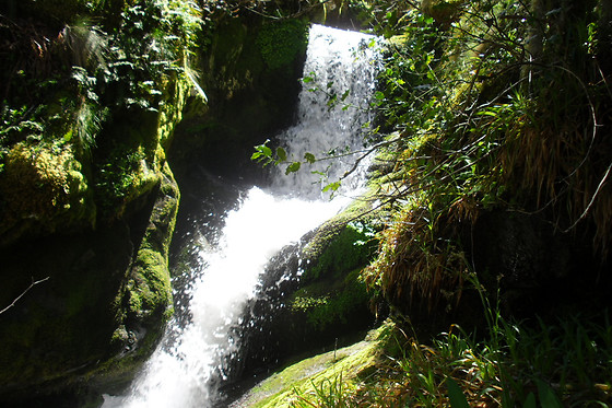 RUTAS XANZÁ - photo 14