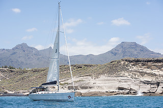 Excursión en velero exclusivo para avistamiento de cetáceos en Costa Adeje (Santa Cruz de Tenerife)