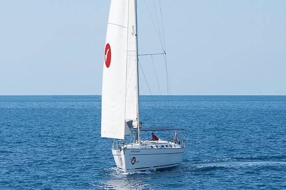 Excursión en velero exclusivo para avistamiento de cetáceos en Costa Adeje (Santa Cruz de Tenerife)