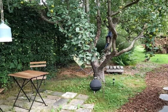 L'Echappée au jardin - photo 5