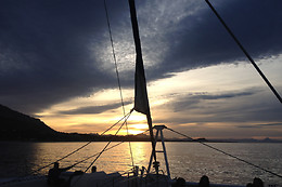 MUNDO MARINO ALICANTE