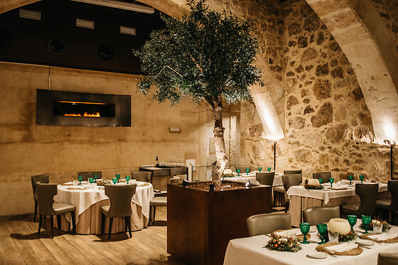 HOSPES PALACIO DE SAN ESTEBAN - photo 10