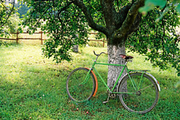 B&B Giardino