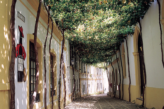 BODEGAS TIO PEPE - photo 1