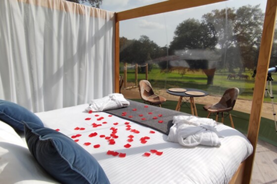 Una noche bajo las estrellas en una burbuja con hidromasaje exterior privado y desayuno en El Toril Glamping Experience en Velada (Toledo)