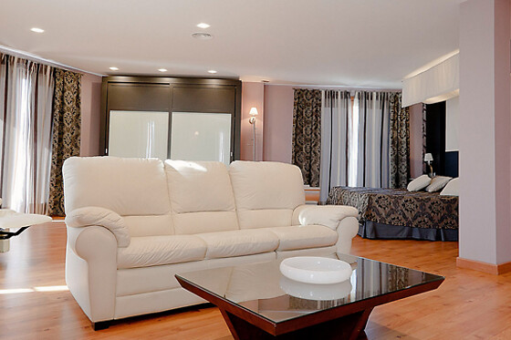 HOTEL CAMPOS DE BAEZA - photo 10