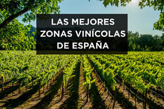 Escapada entre viñedos