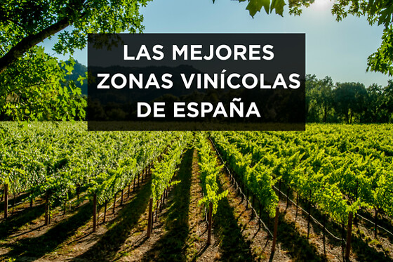 Escapada entre viñedos