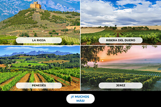 Escapada entre viñedos