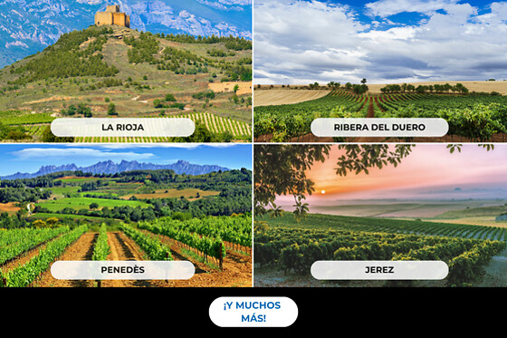 Escapada entre viñedos