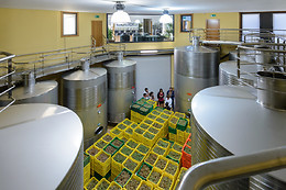 BODEGA ADEGA EIDOS
