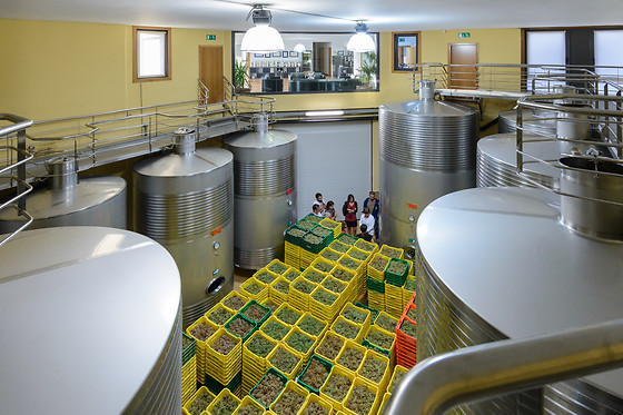BODEGA ADEGA EIDOS - photo 1