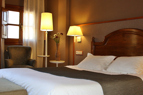 HOTEL INFANTADO - photo 10