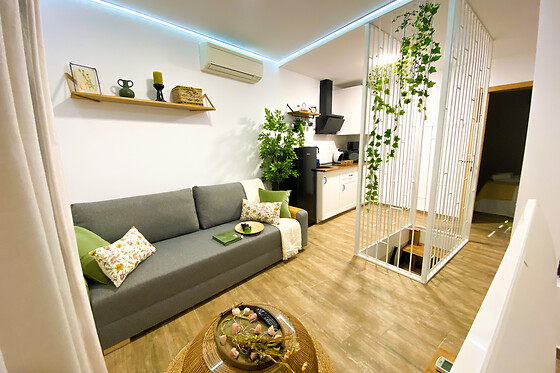 SUITE CUEVA ROMANA - photo 9