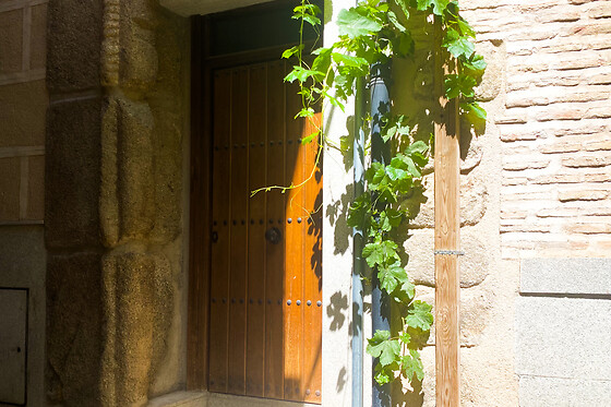 SUITE CUEVA ROMANA - photo 11