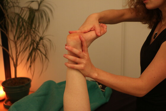 Chemins d'Essences - photo 7