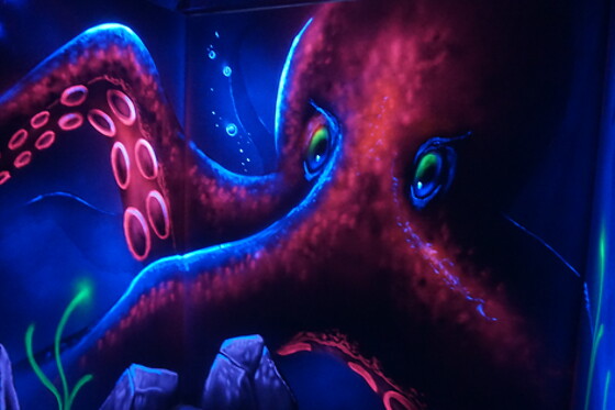 Laser World La Garenne Colombes - photo 0